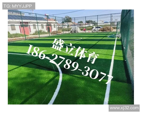 天津7人足球场全新开放体验多样化足球活动与社区互动
